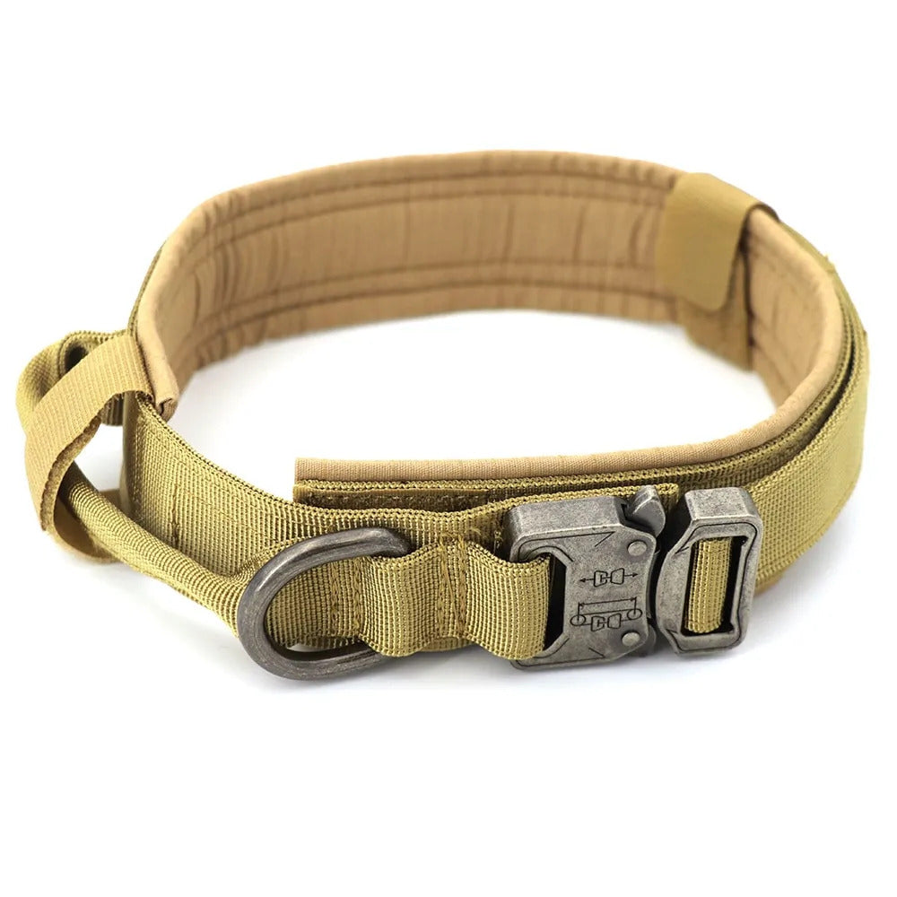 Dog Collar Dog Collar